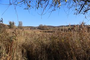 Pohľad na časť TML Kamenica - VN Bajtava, foto: 5.11.2025. Foto: J.Lengyel.