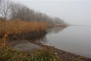 Pohľad na časť TML Číčov, Číčovské rybníky - juh. Foto: 12.11.2025.