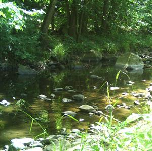 pohľad na lokalitu - TML - Kozelník, foto: 28.7.2025, D. Vazanová