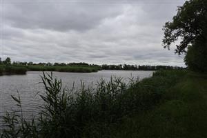 Pohľad na južný Veľkoblahovský rybník, TML, foto: 16.6.2025, J.Lengyel.