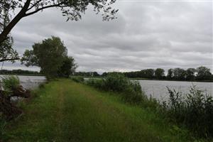 Pohľad na centrálnu časť TML Veľkoblahovské rybníky, foto: 16.6.2025, J.Lengyel.