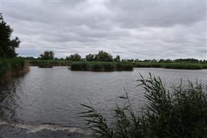 Pohľad na južný Veľkoblahovský rybník, TML, foto: 16.6.2025, J.Lengyel.