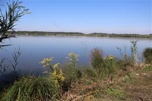 Pohľad na časť TML Číčov - Číčovské rybníky. Foto: 27.8.2025, J.Lengyel.