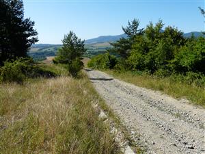 Pohľad na lokalitu v hornej časti