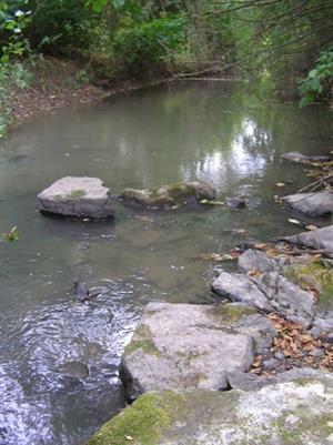 JV meander