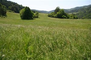 záber na biotop, smer S-J