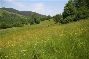 záber na biotop, smer S