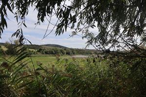 Pohľad na časť TML Kamenica nad Hronom - časť VN Bajtava. Foto: 4.9.2025, J.Lengyel.Ilustračné foto biotopov.