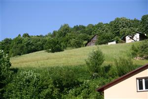 záber na časť biotopu od cesty, smer JZ