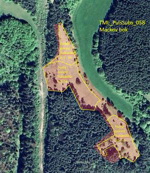 Mapka TML_PulsSubs_058 Mackov bok s vyznačenými plochami hustejšieho a redšieho výskytu Pulsatilla