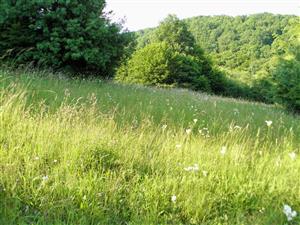 pohlad na SV cast lokality