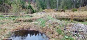 TML_BombVari_021 Veľká Biela voda_Kobylie mlyny 