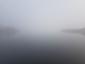 kormorán veľký (17.10.2025)