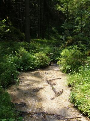 TMP2 - horný koniec