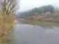 Potápač malý (14.11.2025)