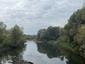 Potápka hnedá (malá) (18.10.2025)