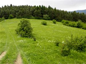 zapadny okraj lokality