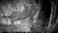 Martes martes na fotopasci 2_TML_MartMart_040_Vyšné Slovinky