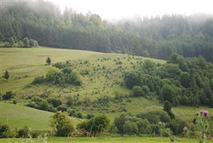 TML_5130_Poráč