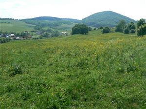 Pohled na cílový biotop a okolní krajinu ve směru JV od zadaných souřadnic