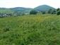 Nížinné a podhorské kosné lúky (29.5.2015)