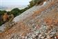 Nespevnené silikátové skalné sutiny kolinného stupňa (21.8.2013)