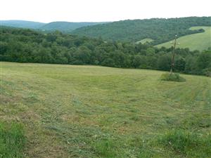 Pohled na cílový biotop a okolní krajinu ve směru SV od zadaných souřadnic