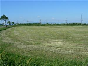 Pohled na cílový biotop a okolní krajinu ve směru SSV od zadaných souřadnic