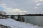 kačica divá (17.1.2026)