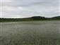 Prirodzené eutrofné a mezotrofné stojaté vody s vegetáciou plávajúcich a/alebo ponorených cievnatých rastlín typu Magnopotamion alebo Hydrocharition (16.6.2015)