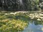 Prirodzené eutrofné a mezotrofné stojaté vody s vegetáciou plávajúcich a/alebo ponorených cievnatých rastlín typu Magnopotamion alebo Hydrocharition (18.6.2015)
