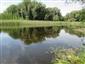 Prirodzené eutrofné a mezotrofné stojaté vody s vegetáciou plávajúcich a/alebo ponorených cievnatých rastlín typu Magnopotamion alebo Hydrocharition (18.6.2015)