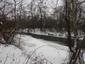 lyska čierna (15.1.2026)