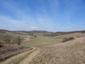 krkavec čierny (16.3.2026)