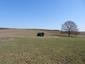 Včelár lesný (včelár obyčajný) (16.3.2026)