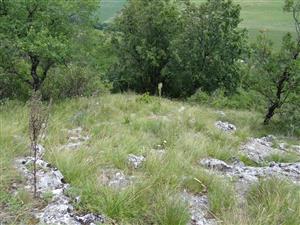 Záber na monitorovanú lokalitu.