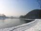 chochlačka sivá (14.1.2026)