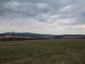 krkavec čierny (24.3.2026)