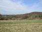 krkavec čierny (14.4.2026)