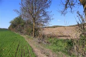 Pohľad na časť TML Maňa - Horná Gedra. Maniansky potok a okolitá Hronská pahorkatina, v pozadí Hornogedriansky les.Foto: 29.4.2026, J.Lengyel.