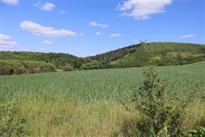 Pohľad na časť TML Kamenica nad Hronom - predhorie pohoria Burda, J od Bajtavy. Foto: 13.5.2026, J.Lengyel.