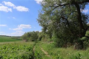 Časť TML Kamenica nad Hronom, okraj VN Bajtava a Ipiľská pahorkatina, foto: 13.5.2026, J.Lengyel.