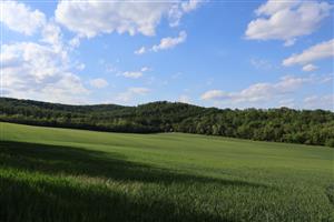 Pohľad na časť TML Kamenica nad Hronom, časť Ipeľská pahorkatina s lesmi. Foto: 13.5.2026, J.Lengyel.