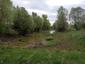 lyska čierna (20.4.2026)