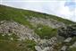 Silikátové skalné sutiny v montánnom až alpínskom stupni (24.6.2014)