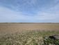 haja tmavá (15.4.2026)