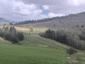krkavec čierny (22.4.2026)