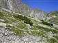 Silikátové skalné sutiny v montánnom až alpínskom stupni (24.7.2013)