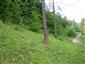 Suchomilné travinnobylinné a krovinové porasty na vápnitom podloží (*dôležité stanovištia Orchideaceae) (6.6.2015)
