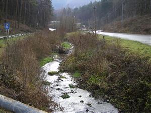 pohľad od stredu TML smerom dolu po prúde- odstránené vzrastlé stromy jelšového brehového porastu